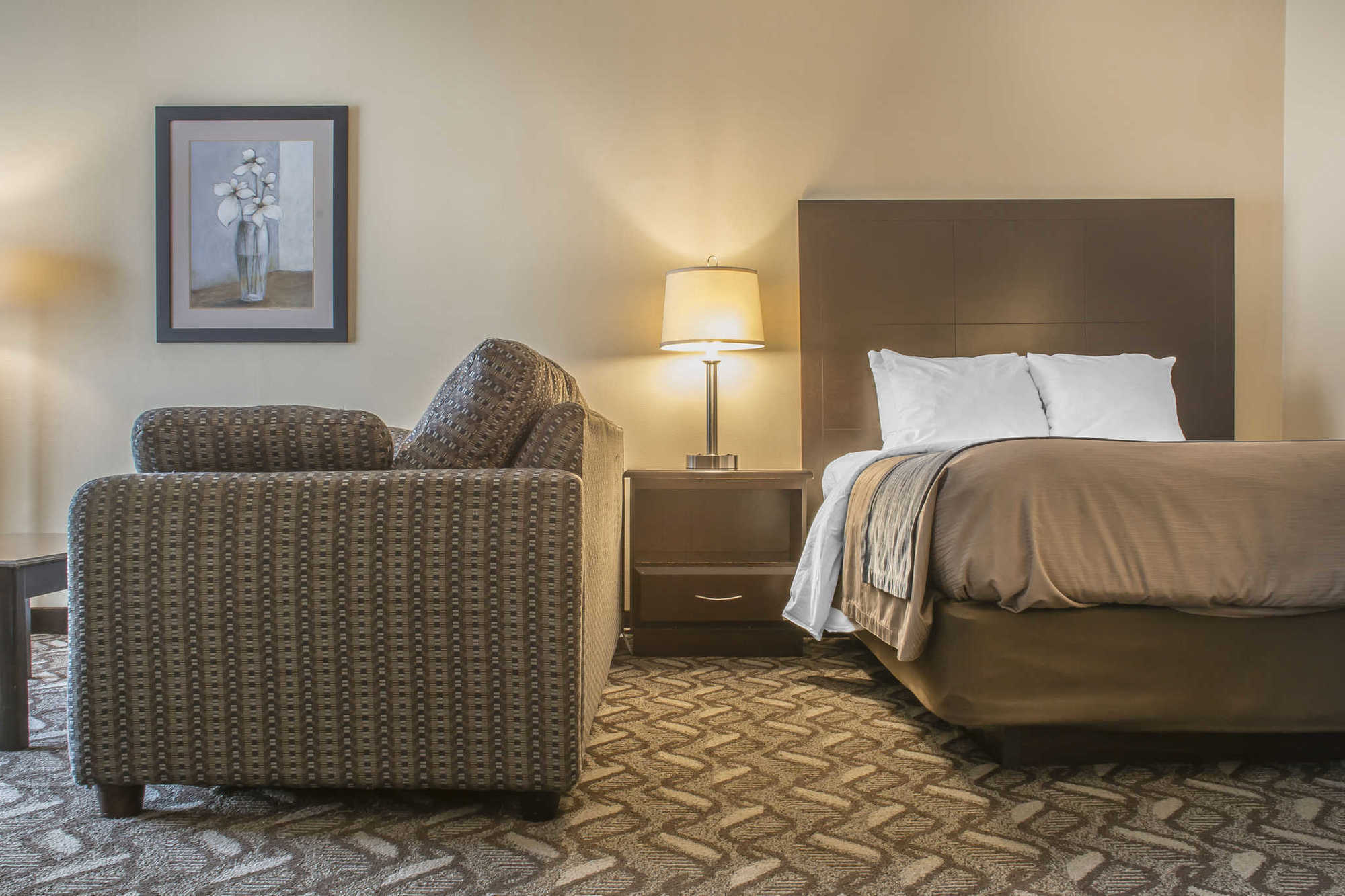 Comfort Inn & Suites Ambassador Bridge Windsor Zimmer foto